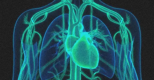 Gen Düzenleme Tedavisi Kolesterolü Yarıya İndirdi